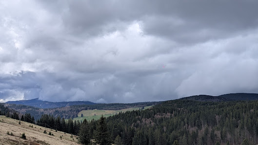 Todtnauberg